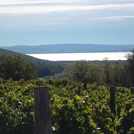 Bed & Breakfast Juhfark Fogado Es Borhaz Balatoncsicso
