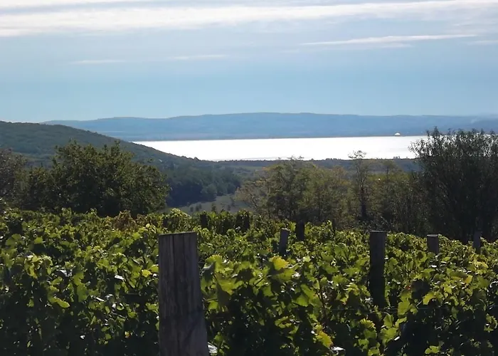 Bed & Breakfast Juhfark Fogado Es Borhaz Balatoncsicso